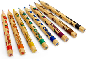 Crayola, Write Start Coloured Pencils, Pencil Crayons, Set of 8 Colors - 01330753